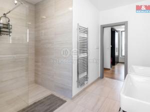 Pronájem bytu 3+kk, Mladá Boleslav, Palackého, 80 m2