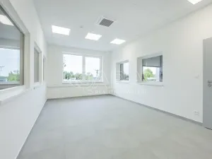 Pronájem skladu, Divišov, 2398 m2