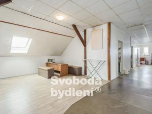 Prodej ubytování, Srbice, 879 m2