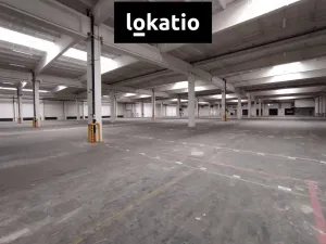 Pronájem skladu, Nučice, 7324 m2