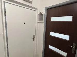 Pronájem bytu 1+kk, Hradec Králové, Severní, 28 m2
