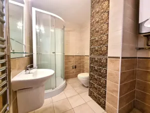 Pronájem bytu 1+kk, České Budějovice - České Budějovice 6, Rudolfovská tř., 28 m2