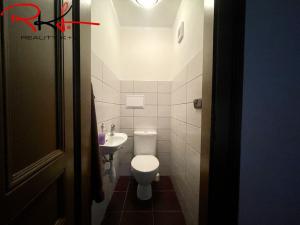 Pronájem obchodního prostoru, Mladá Boleslav - Mladá Boleslav I, Železná, 116 m2