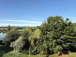 Prodej rodinného domu, Dubné - Třebín, 260 m2