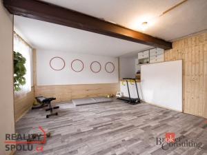 Prodej ubytování, Třebenice, Zimmerova, 332 m2