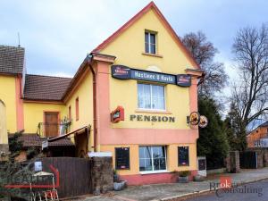 Prodej ubytování, Třebenice, Zimmerova, 332 m2