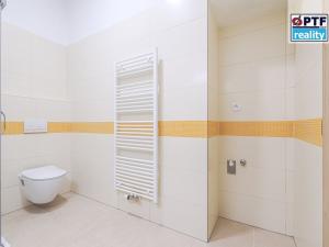 Pronájem bytu 1+kk, Plzeň, Americká, 55 m2