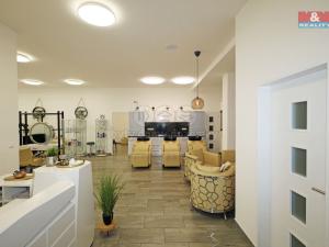 Pronájem, Karlovy Vary - Rybáře, U Koupaliště, 10 m2