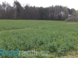 Prodej pole, Žíšov, 3467 m2