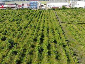 Prodej komerčního pozemku, Brno, 2465 m2