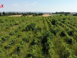 Prodej komerčního pozemku, Brno, 2465 m2