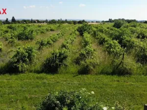 Prodej komerčního pozemku, Brno, 2465 m2