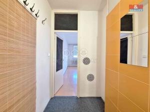 Pronájem bytu 1+kk, Ostrava - Moravská Ostrava, U Parku, 28 m2