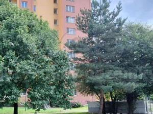 Pronájem bytu 1+kk, Ostrava - Moravská Ostrava, Gen. Píky, 28 m2