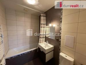 Pronájem bytu 1+kk, Opava - Předměstí, Kasárenská, 35 m2
