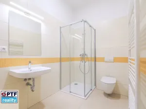 Pronájem bytu 1+kk, Plzeň, Americká, 59 m2