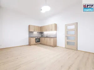 Pronájem bytu 1+kk, Plzeň, Americká, 59 m2