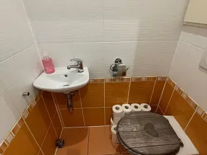 Pronájem bytu 3+1, Slavičín, Obchodní, 75 m2