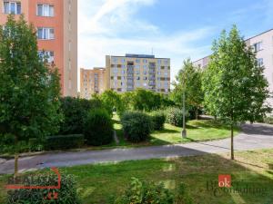 Pronájem bytu 2+1, Třemošná, 62 m2