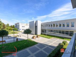 Pronájem bytu 2+1, Třemošná, 62 m2