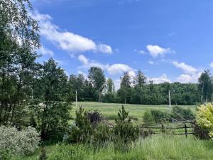 Prodej chaty, Brzice - Proruby, 90 m2