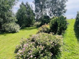 Prodej chaty, Brzice - Proruby, 90 m2