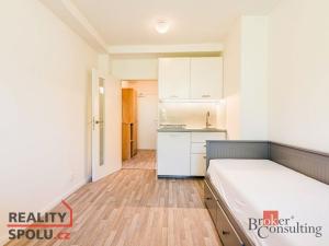 Pronájem bytu 1+kk, Brno - Pisárky, Libušino údolí, 19 m2