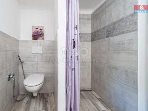 Prodej rodinného domu, Mirotice - Radobytce, 166 m2