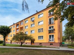 Prodej bytu 2+1, Nová Role, Krátká, 50 m2
