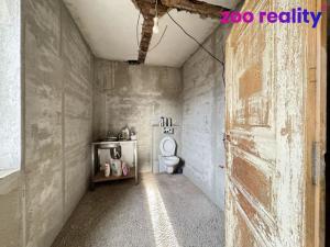 Prodej rodinného domu, Stružná - Horní Tašovice, 665 m2