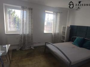 Pronájem bytu 1+kk, Brno, Cejl, 24 m2