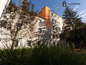 Pronájem bytu 1+kk, Brno, Cejl, 24 m2