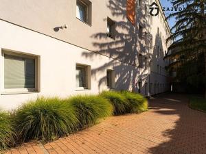 Pronájem bytu 1+kk, Brno, Cejl, 24 m2