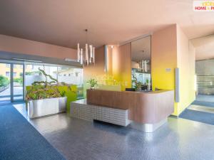 Prodej bytu 4+kk, Praha - Žižkov, Prokopova, 237 m2