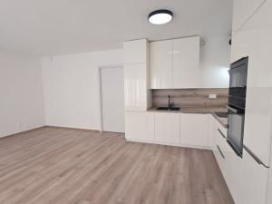 Pronájem bytu 1+kk, Plzeň - Východní Předměstí, Slovanská, 49 m2
