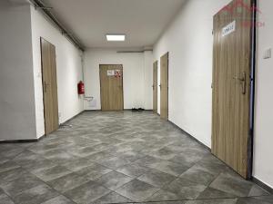 Pronájem výrobních prostor, Březno - Střezov, 1200 m2