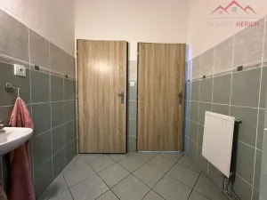 Pronájem výrobních prostor, Březno - Střezov, 1200 m2
