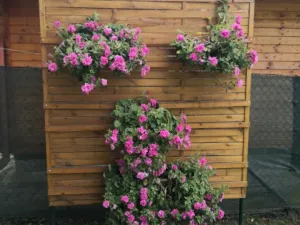 Prodej zahrady, Jihlava - Pístov, 750 m2