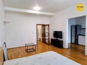 Pronájem bytu 1+1, Brno - Veveří, 43 m2