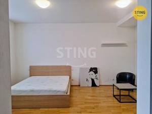 Pronájem bytu 1+1, Brno - Veveří, 43 m2
