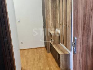 Pronájem bytu 1+1, Brno - Veveří, 43 m2