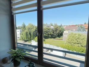 Pronájem bytu 2+kk, Praha, U jízdárny, 52 m2
