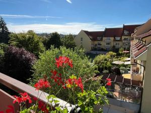 Pronájem bytu 2+kk, Praha, U jízdárny, 52 m2