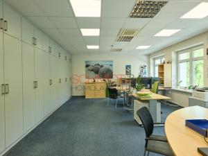 Pronájem kanceláře, Hustopeče, Herbenova, 526 m2