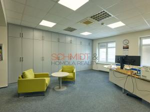 Pronájem kanceláře, Hustopeče, Herbenova, 526 m2