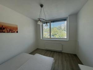 Pronájem bytu 4+kk, Brno, Vinařská, 102 m2