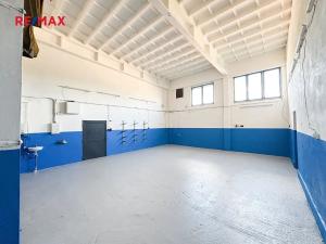 Pronájem skladu, Radnice, 66 m2