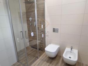 Pronájem rodinného domu, Karlovy Vary - Tašovice, Slovanská, 500 m2