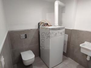 Pronájem rodinného domu, Karlovy Vary - Tašovice, Slovanská, 500 m2