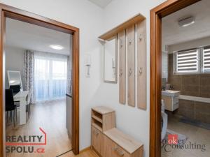 Pronájem bytu 1+kk, Heřmanova Huť - Vlkýš, U Pondu, 40 m2